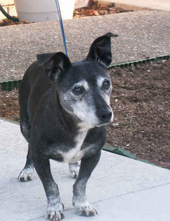 Dudley