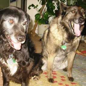 Candy & Tanna