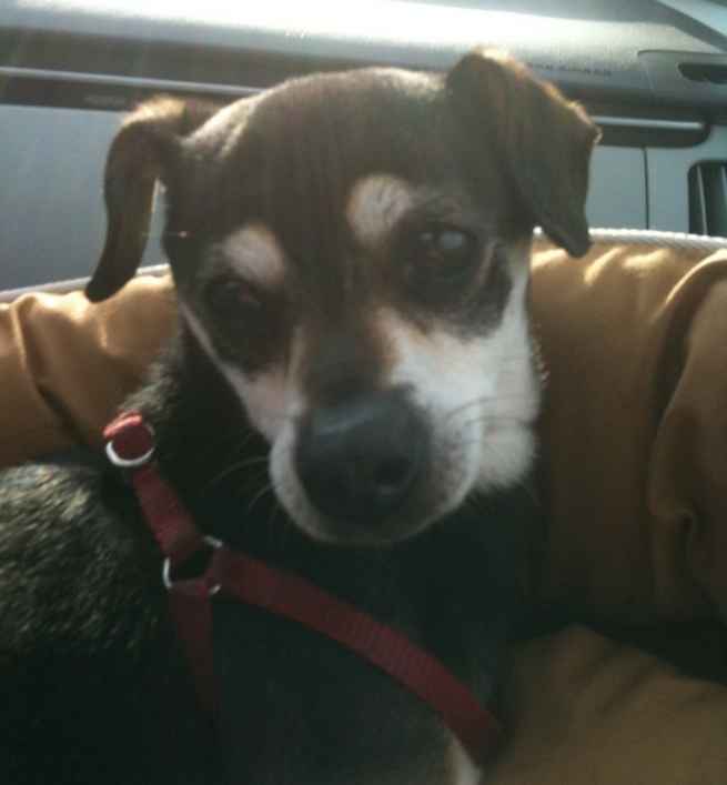Artie