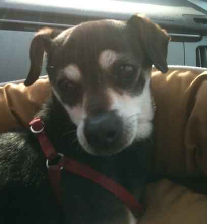 Artie