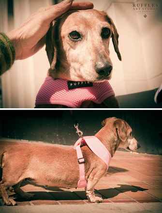 Betty 2