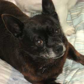 Humphrey