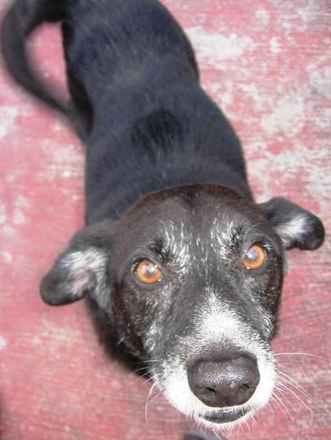 George