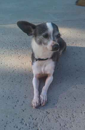 Lucy 5