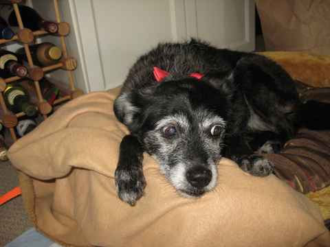 Merry