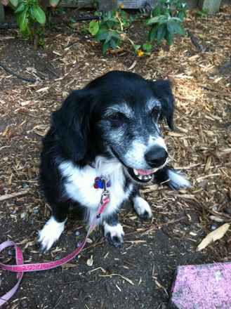 Phoebe 2