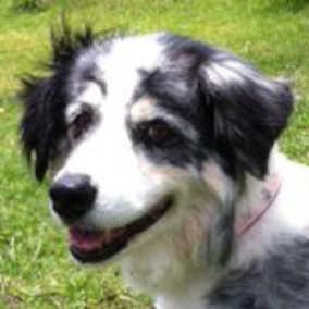 Lady Tara