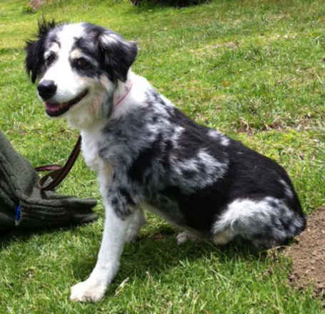Lady Tara
