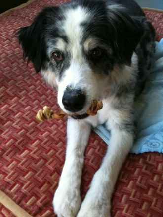 Lady Tara