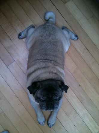 Reggie