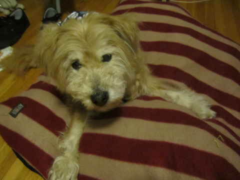 Walter 3