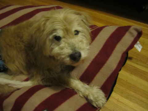 Walter 3