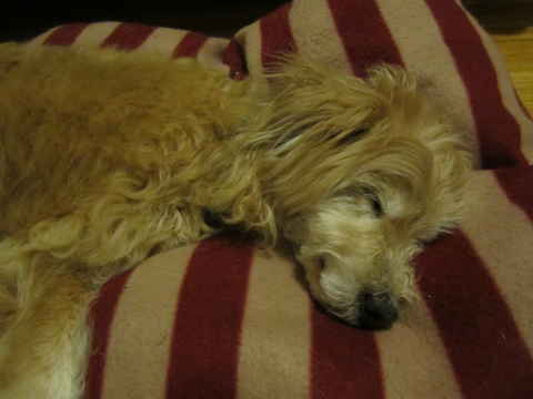 Walter 3