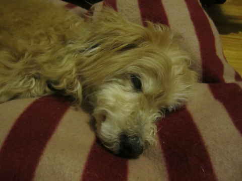 Walter 3