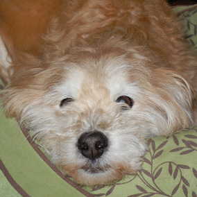 Walter 3