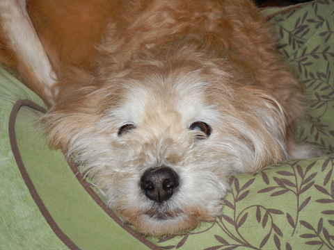 Walter 3