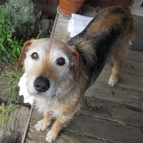 Frannie 2