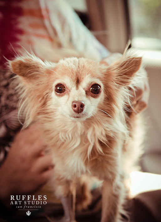 Thumbelina