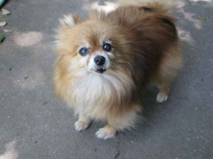 Nellie