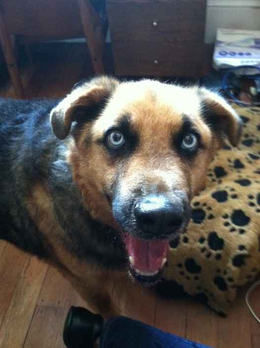 Kody 3