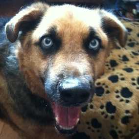 Kody 3