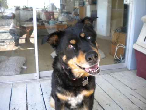 Obie