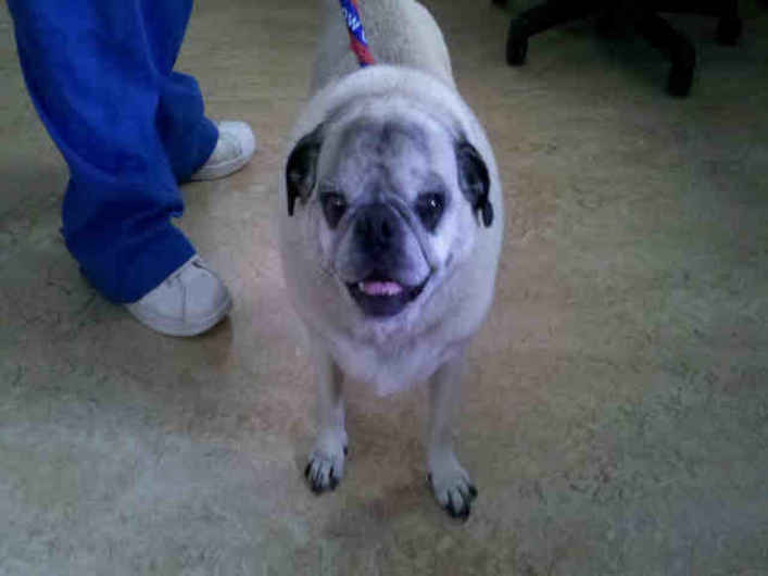 Farley