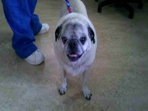 Farley