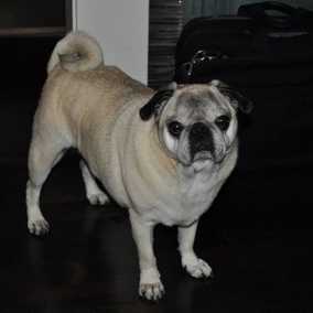 Farley