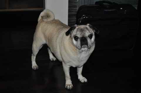 Farley