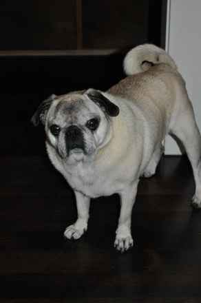 Farley