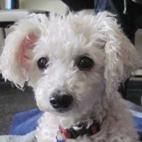 Seebie
