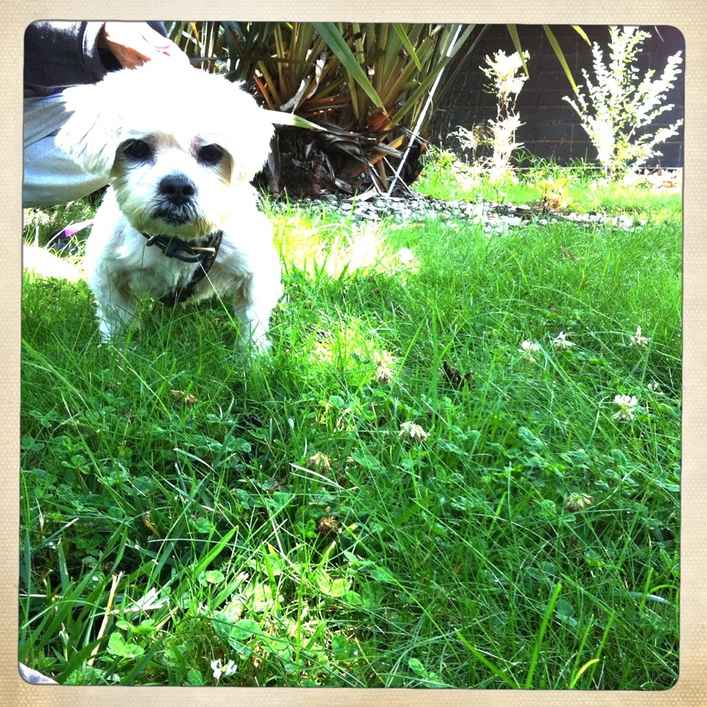 Ricky 2