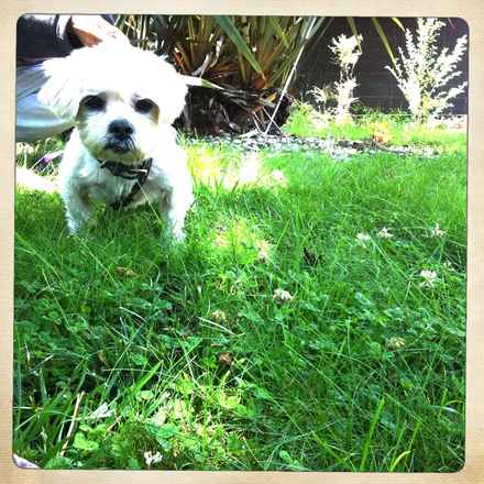 Ricky 2