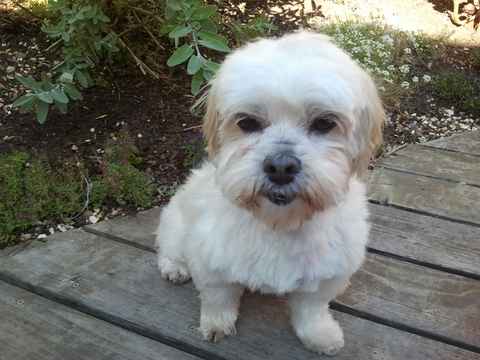 Ricky 2