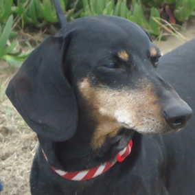 Jack 2