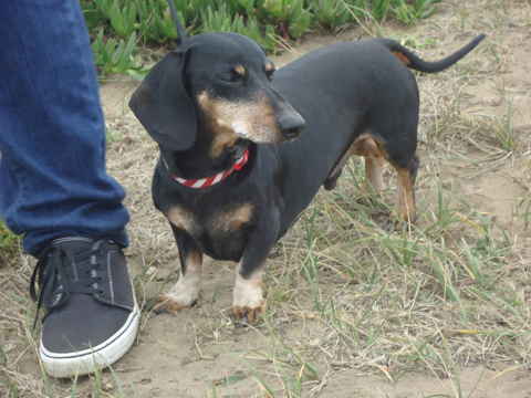 Jack 2