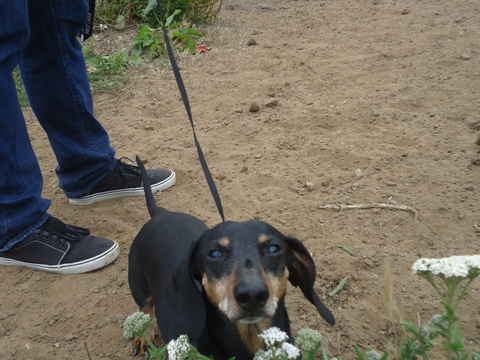 Jack 2