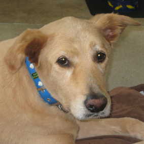 Wilma