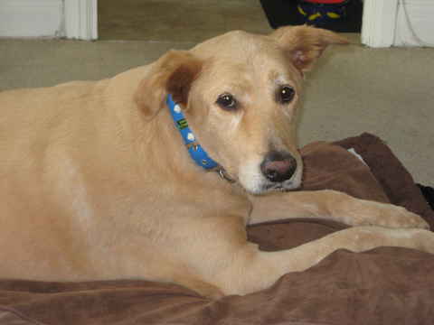 Wilma