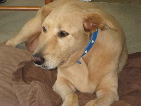 Wilma