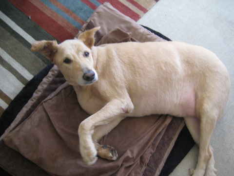 Wilma