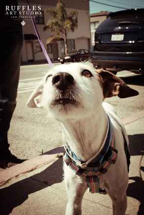 Buster 7