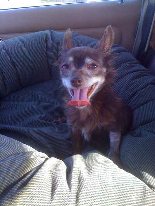 Wilbur