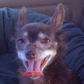 Wilbur
