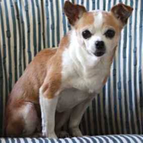 Laverne