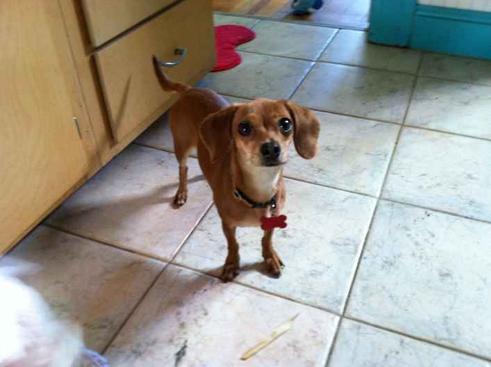 Dixie 2