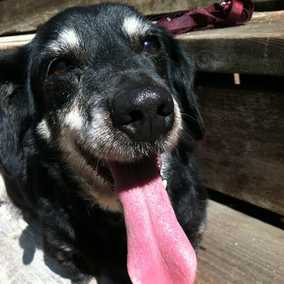 Emmylou