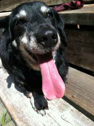 Emmylou