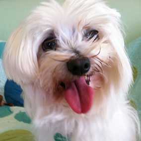 Trudy